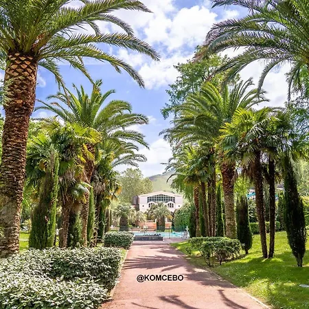 Appartamento : T2 Lumineux Avec Terrasse Sud, Wifi & Parking - Fr-1-495-6 Cambo-les-Bains